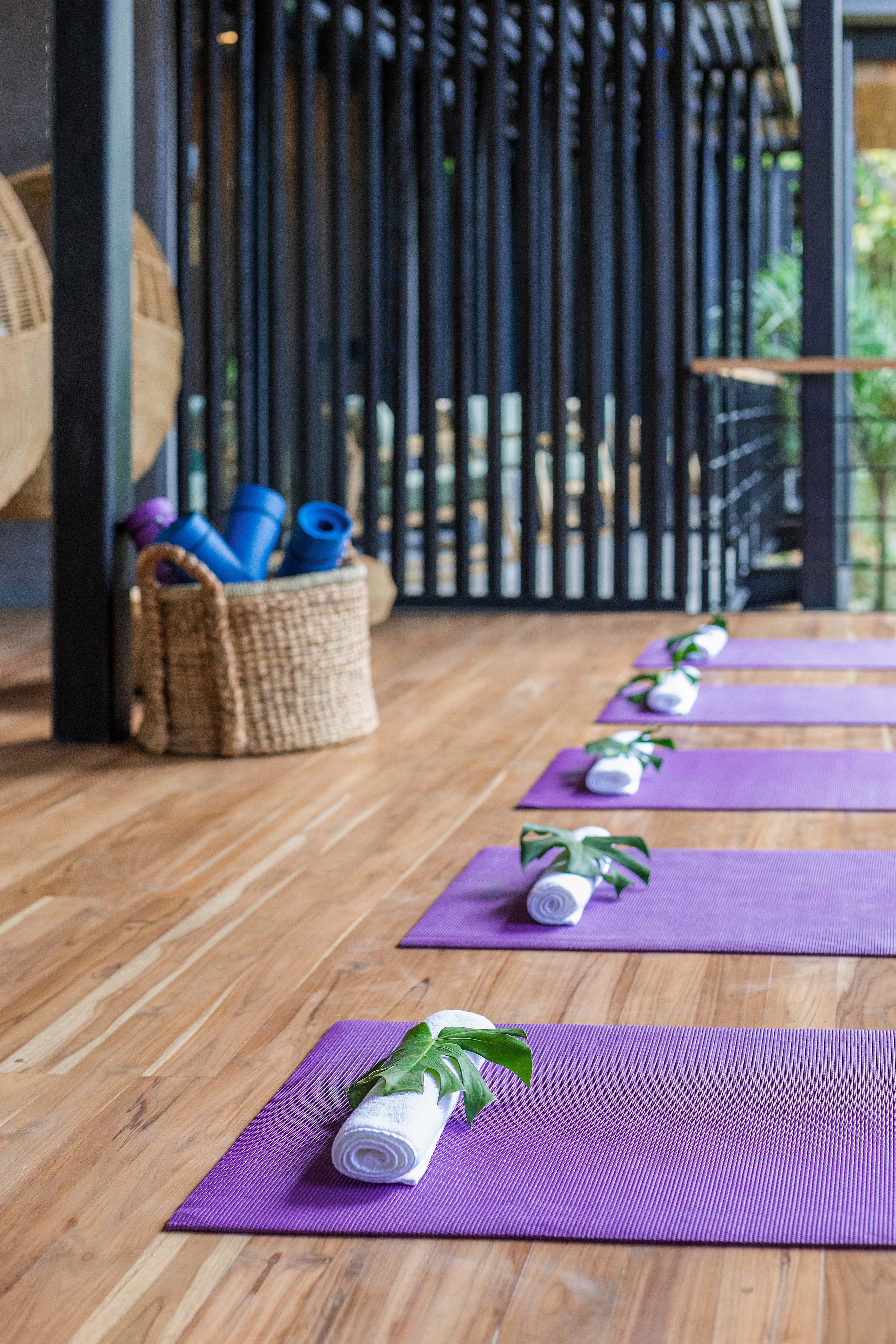 6 bed Single Family Homes For Rent in Nosara, Guanacaste - thumb 14