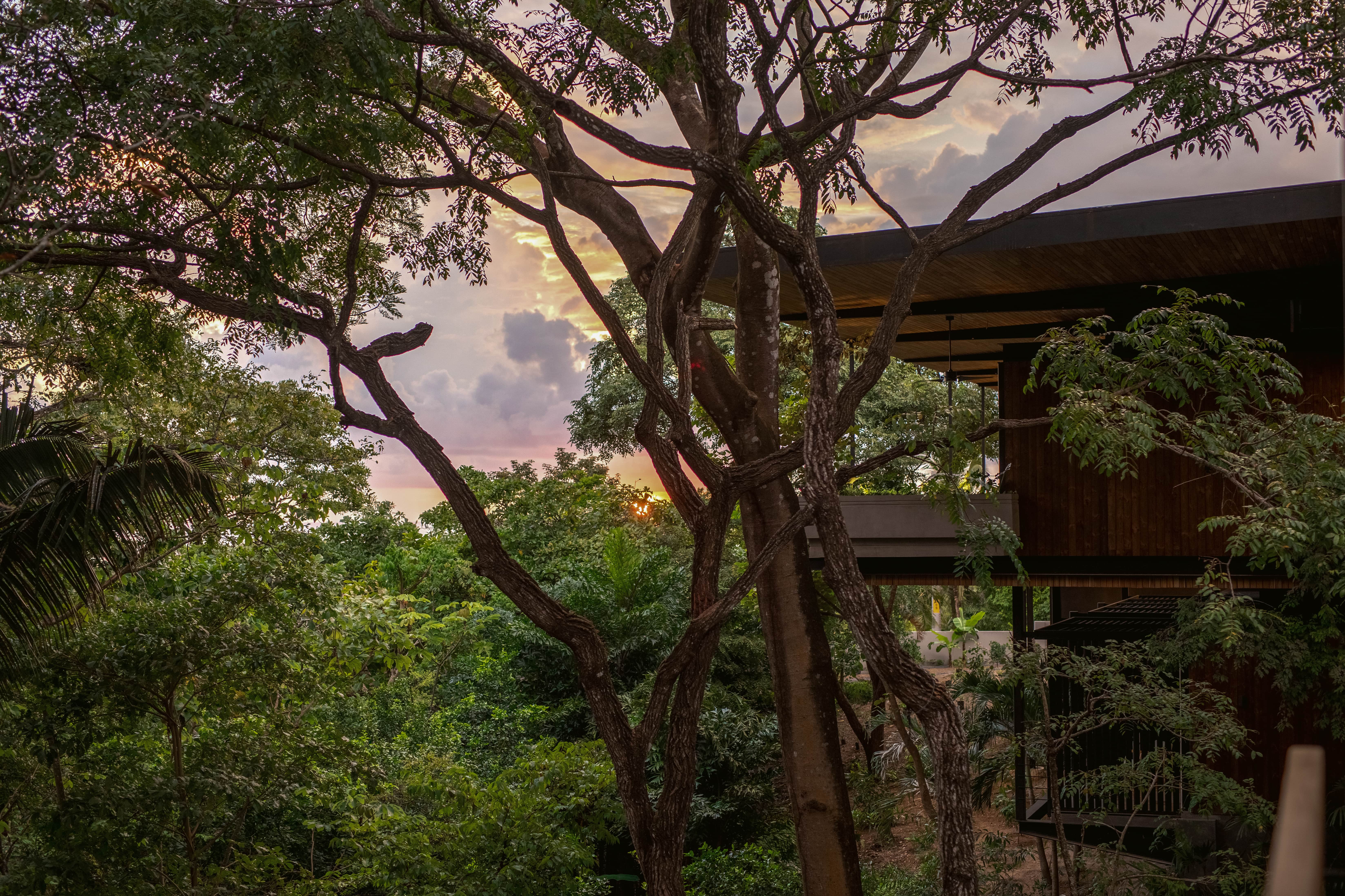 6 bed Single Family Homes For Rent in Nosara, Guanacaste - thumb 25