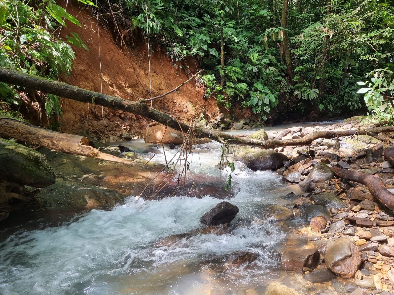 0 bed Land For Sale in Dominical, Puntarenas - thumb 12