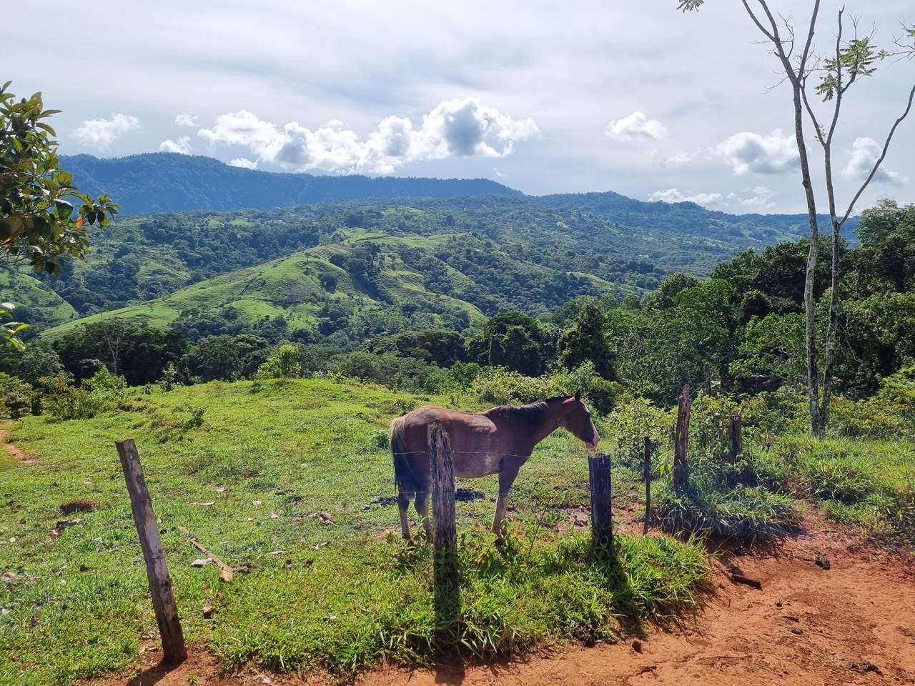 0 bed Land For Sale in Dominical, Puntarenas - thumb 8