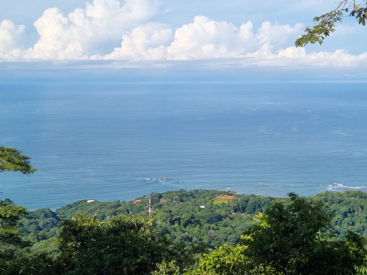 0 bed Land For Sale in Dominical, Puntarenas - thumb 1
