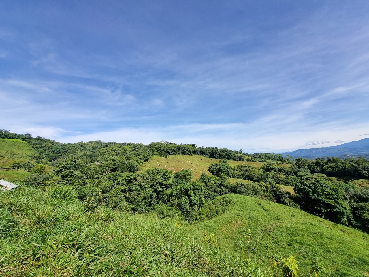 0 bed Land For Sale in Dominical, Puntarenas - thumb 5