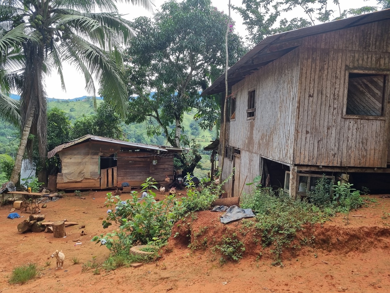 0 bed Land For Sale in Dominical, Puntarenas - thumb 15