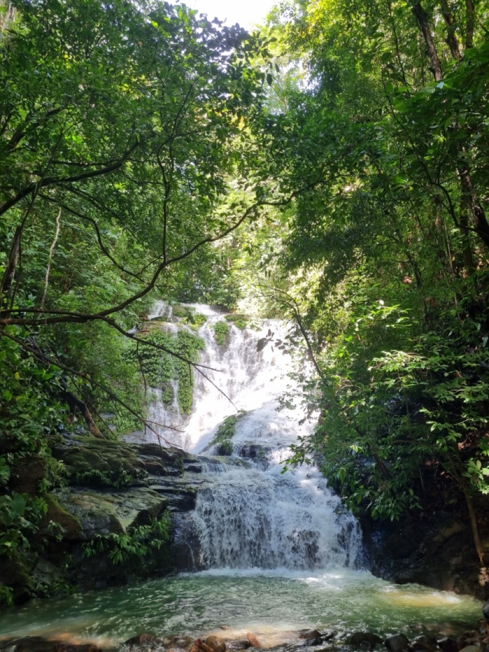 0 bed Land For Sale in Dominical, Puntarenas - thumb 11