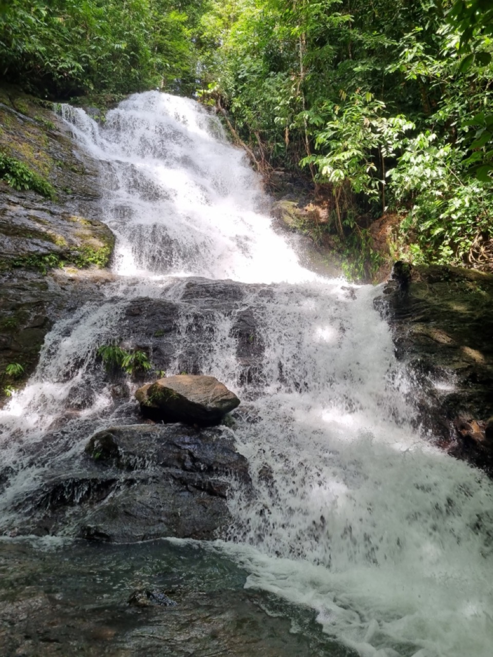 0 bed Land For Sale in Dominical, Puntarenas - thumb 13