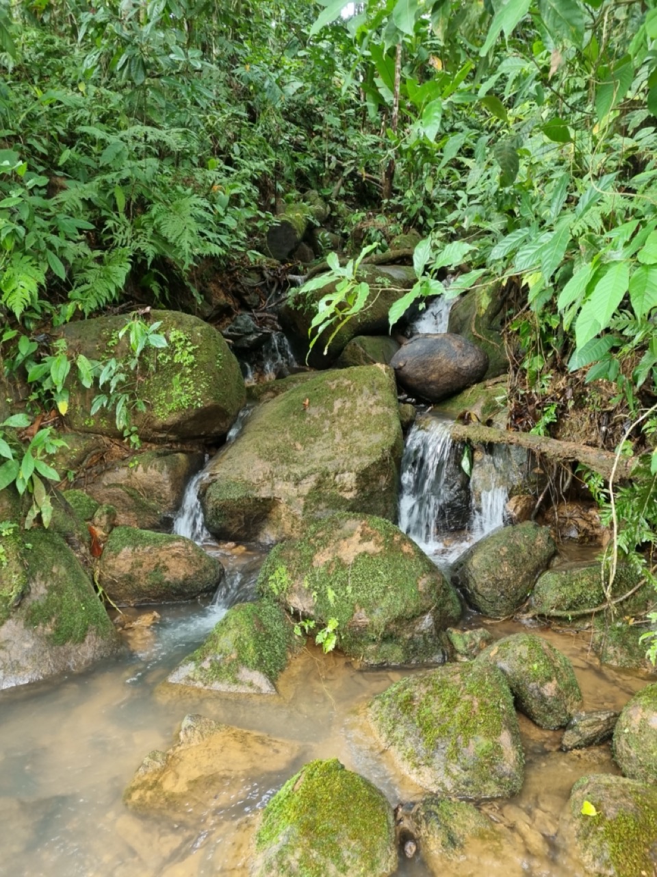 0 bed Land For Sale in Dominical, Puntarenas - thumb 16