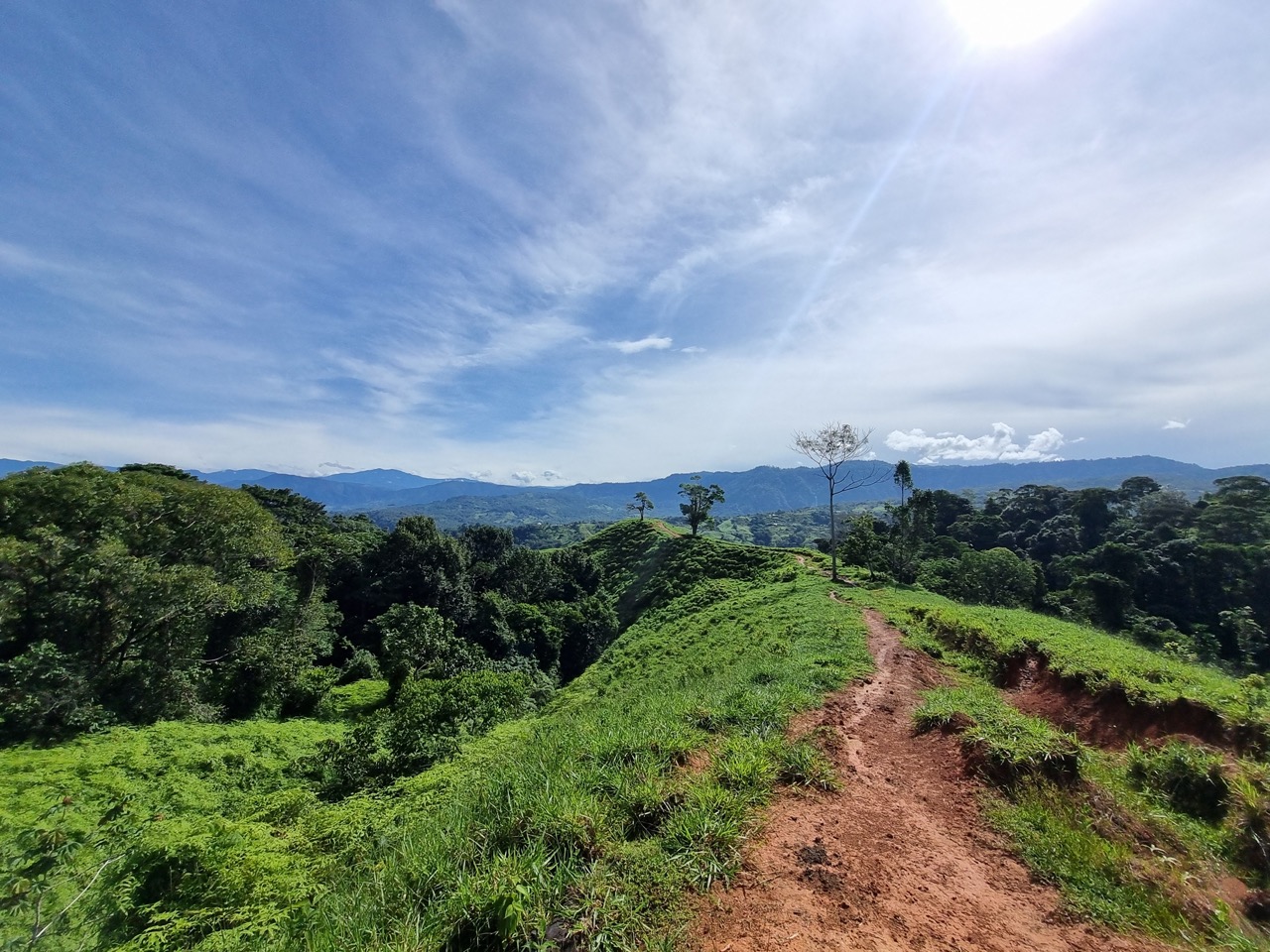 0 bed Land For Sale in Dominical, Puntarenas - thumb 3