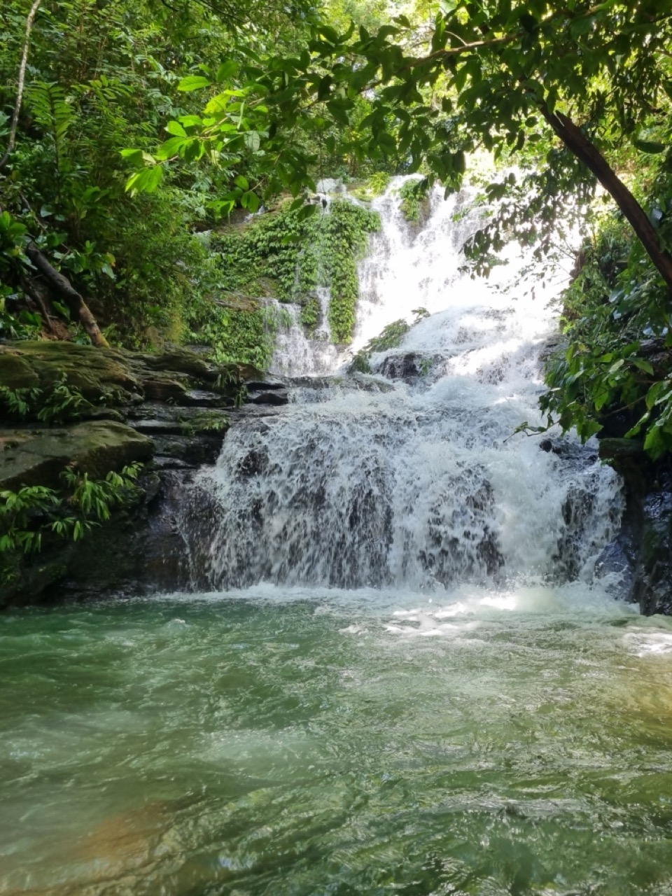 0 bed Land For Sale in Dominical, Puntarenas - thumb 9