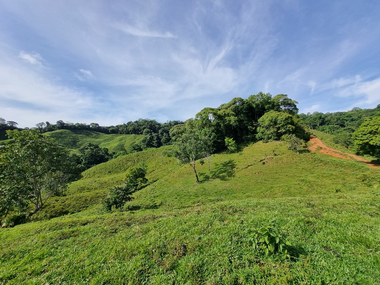 0 bed Land For Sale in Dominical, Puntarenas - thumb 2