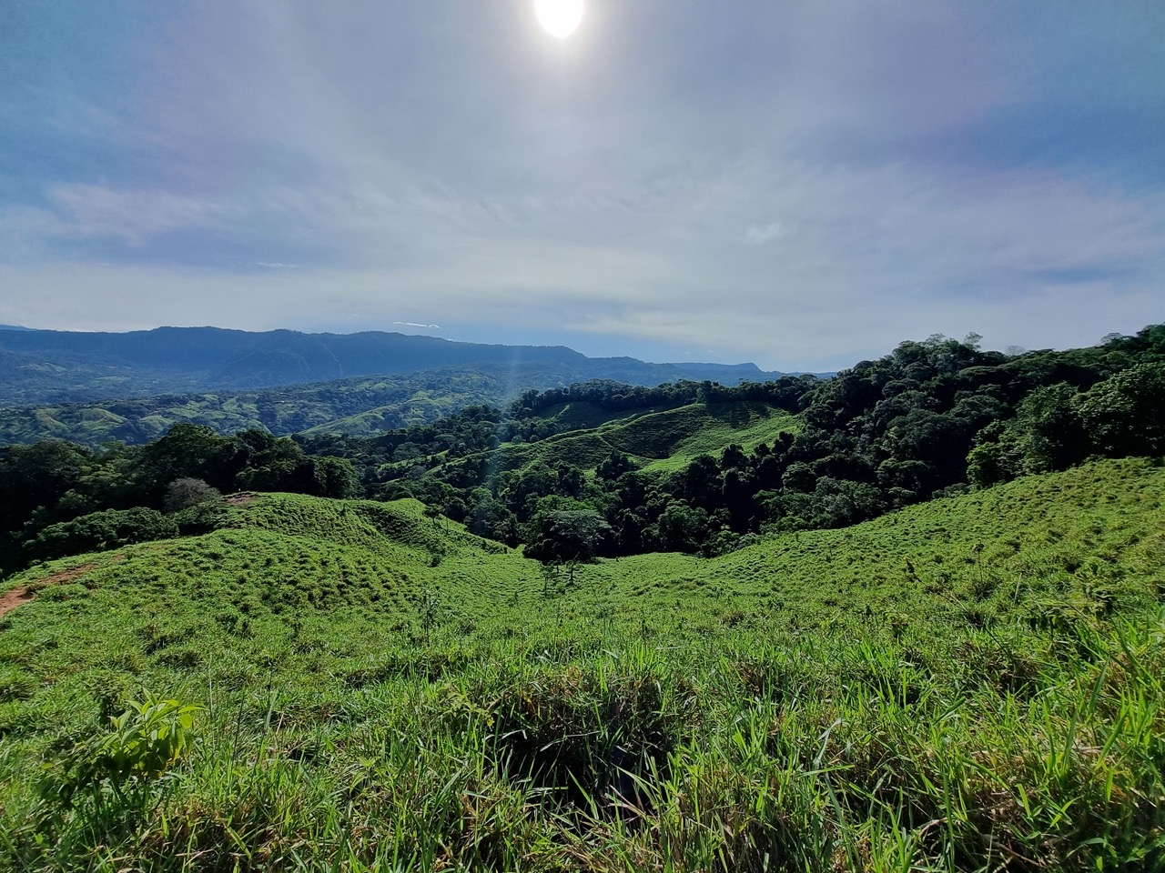 0 bed Land For Sale in Dominical, Puntarenas - thumb 21