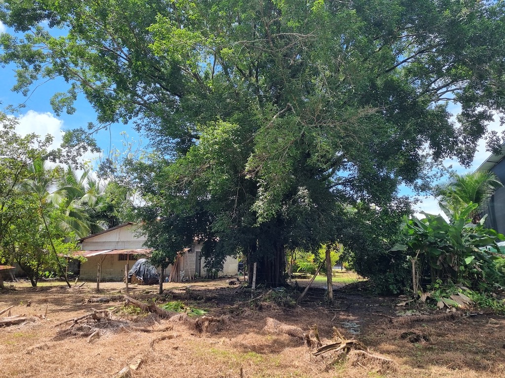 4 bed Land For Sale in Uvita, Puntarenas - thumb 11