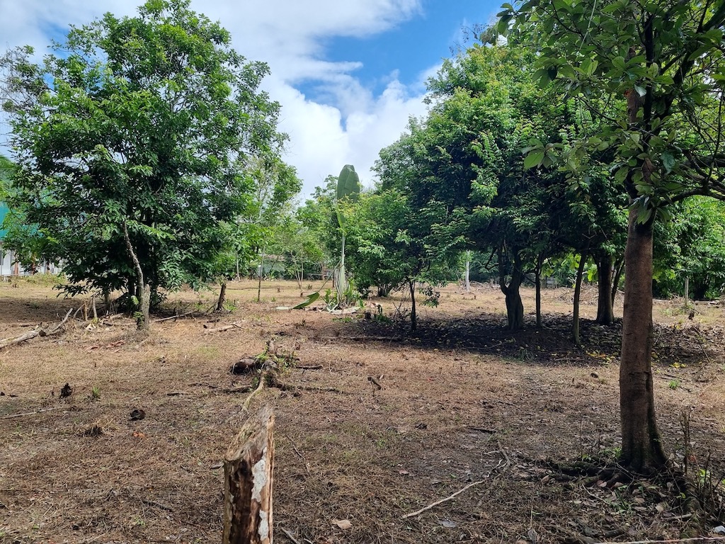 4 bed Land For Sale in Uvita, Puntarenas - thumb 1
