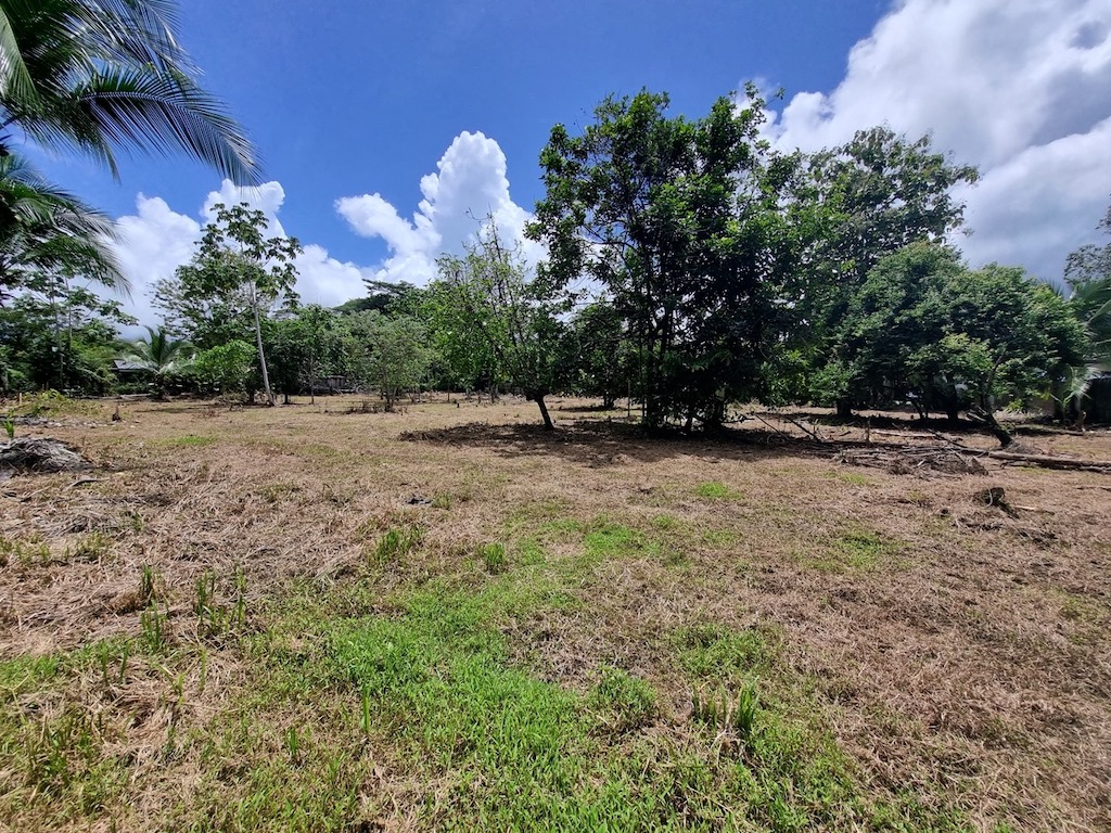 4 bed Land For Sale in Uvita, Puntarenas - thumb 19