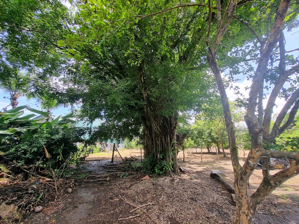 4 bed Land For Sale in Uvita, Puntarenas - thumb 2