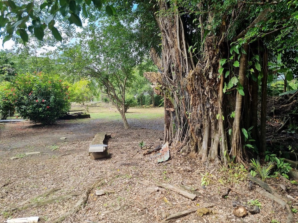 4 bed Land For Sale in Uvita, Puntarenas - thumb 9