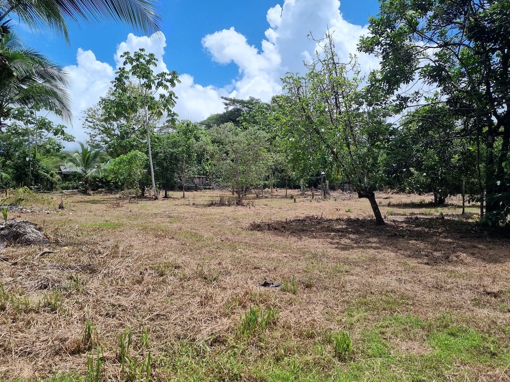 4 bed Land For Sale in Uvita, Puntarenas - thumb 17