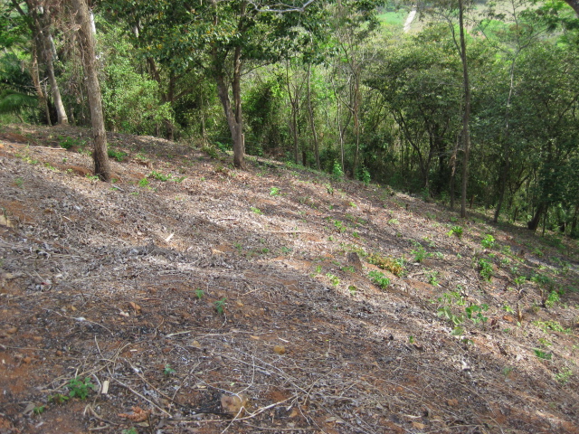 0 bed Land For Sale in PlayaCoyote, Guanacaste - thumb 24