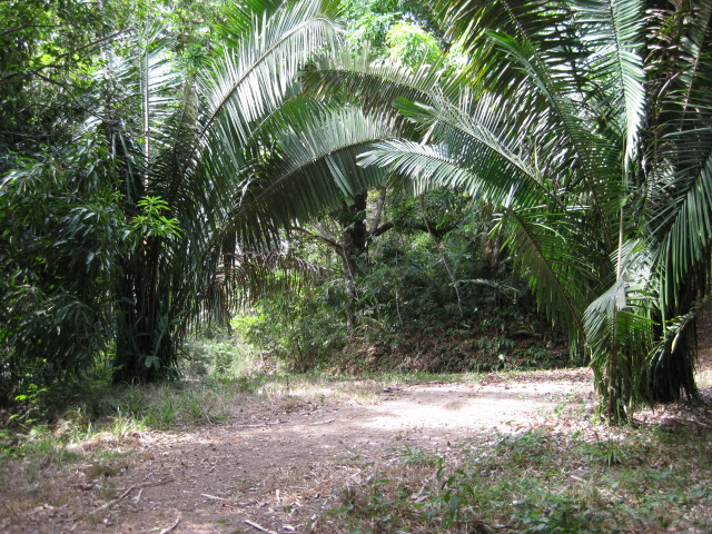 0 bed Land For Sale in PlayaCoyote, Guanacaste - thumb 26