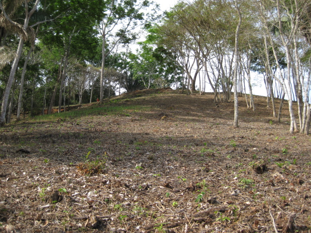 0 bed Land For Sale in PlayaCoyote, Guanacaste - thumb 14