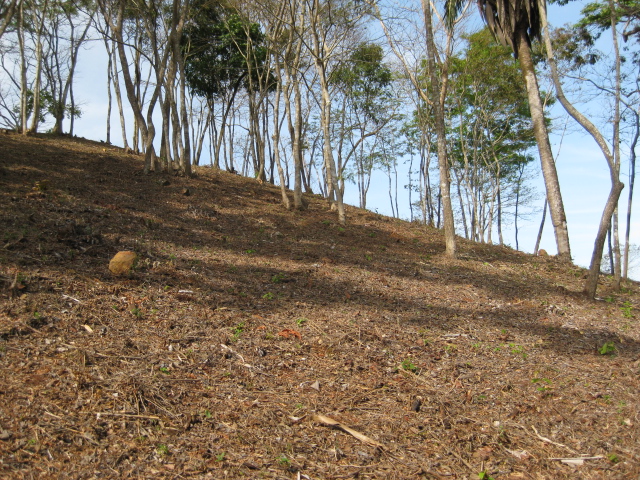 0 bed Land For Sale in PlayaCoyote, Guanacaste - thumb 12