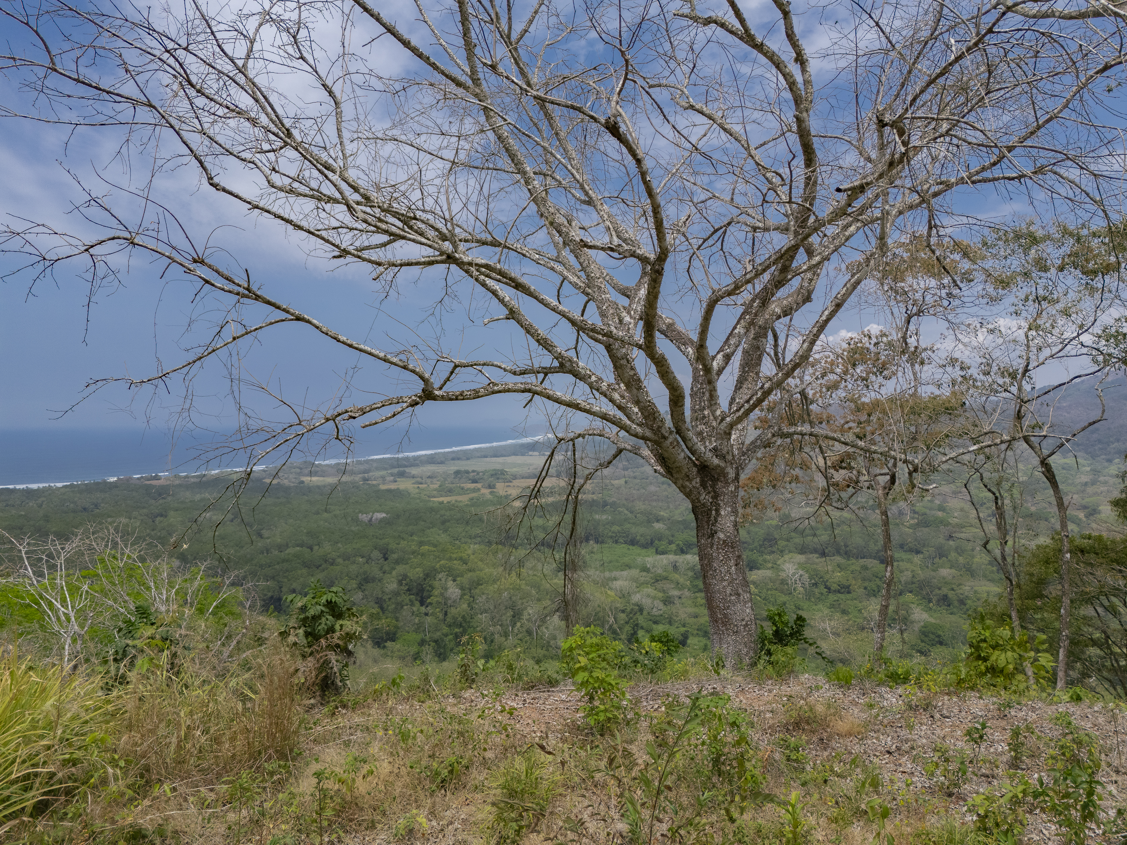 0 bed Land For Sale in PlayaCoyote, Guanacaste - thumb 29