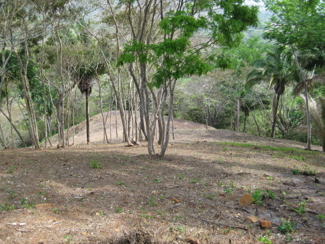 0 bed Land For Sale in PlayaCoyote, Guanacaste - thumb 17
