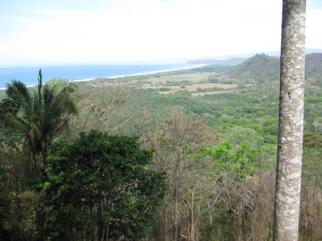 0 bed Land For Sale in PlayaCoyote, Guanacaste - thumb 18