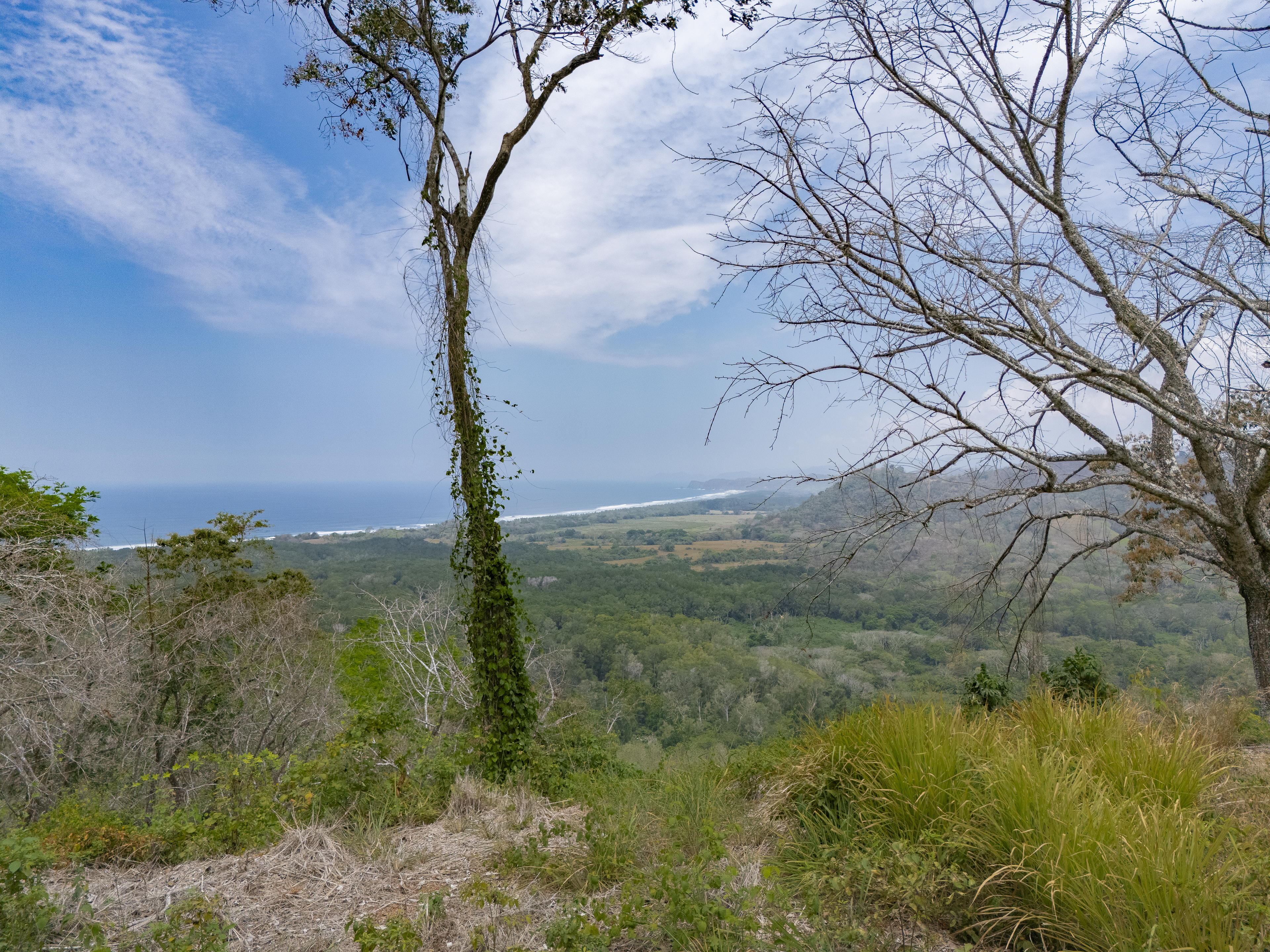 0 bed Land For Sale in PlayaCoyote, Guanacaste - thumb 28