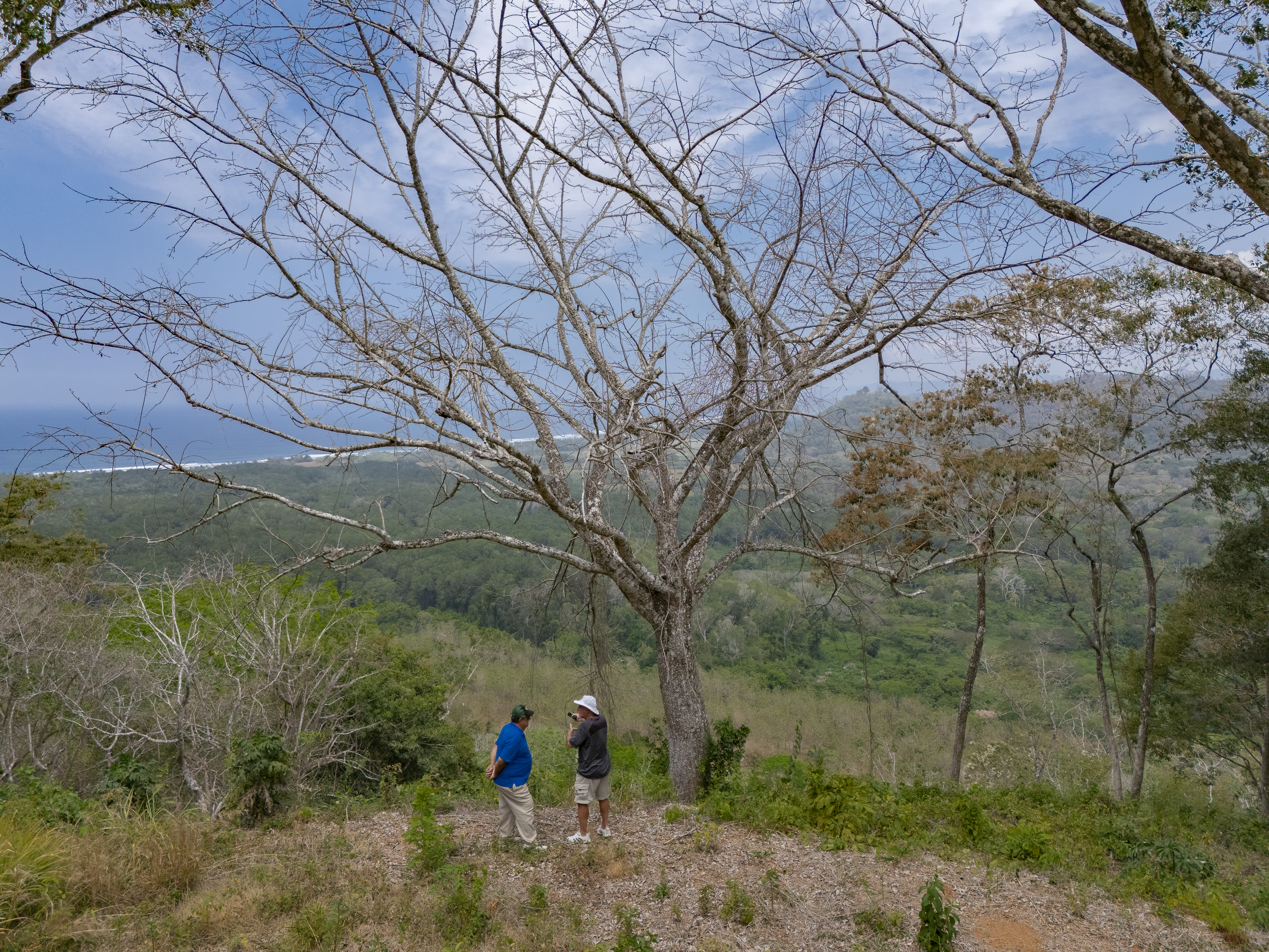 0 bed Land For Sale in PlayaCoyote, Guanacaste - thumb 27