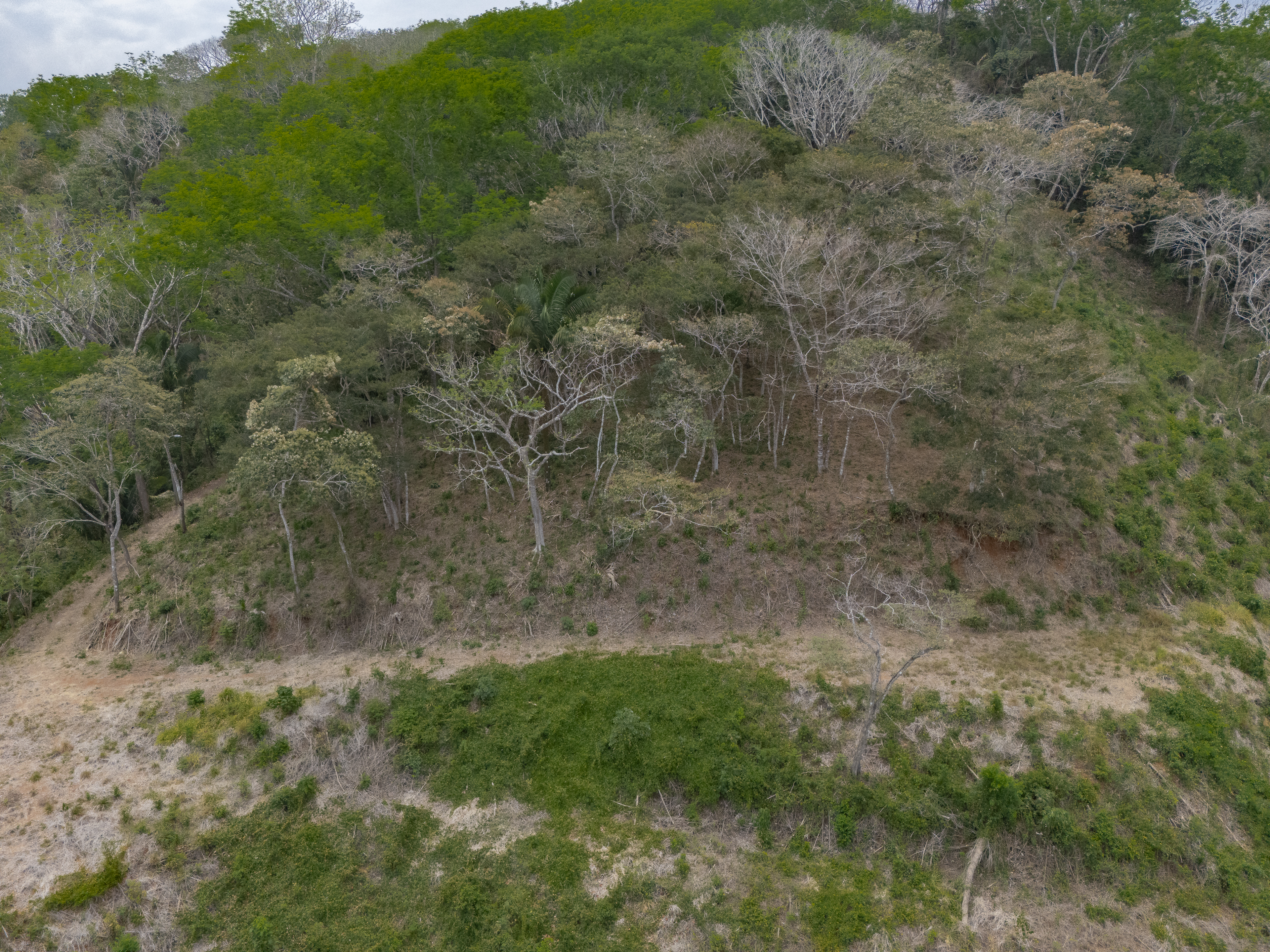 0 bed Land For Sale in PlayaCoyote, Guanacaste - thumb 4