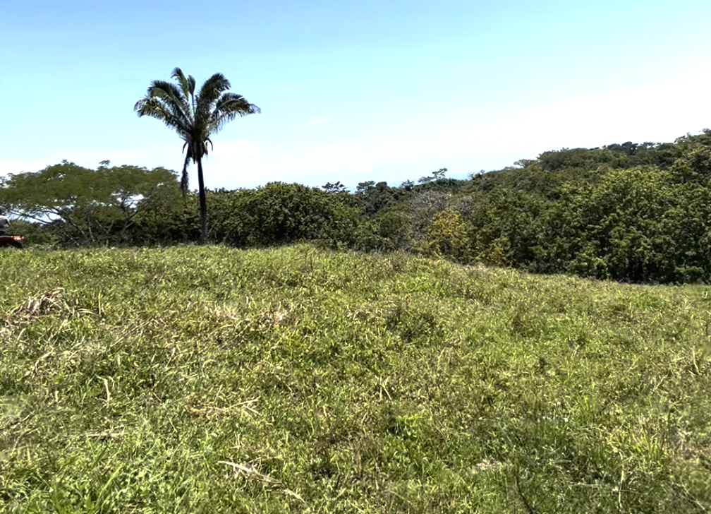 0 bed Land For Sale in Montezuma, Puntarenas - thumb 6