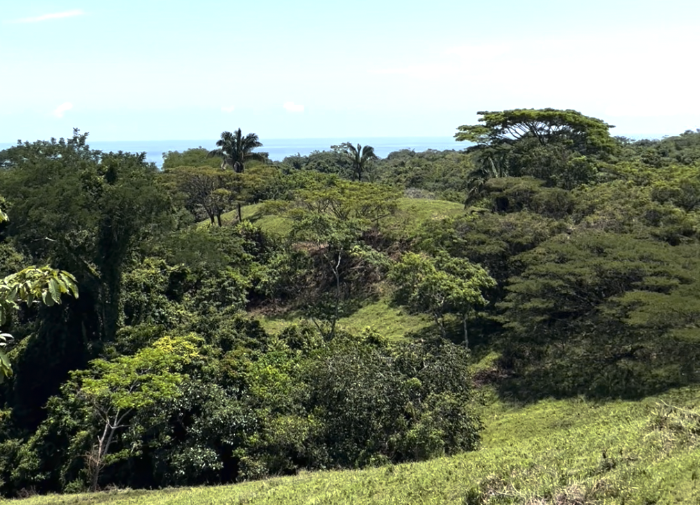 0 bed Land For Sale in Montezuma, Puntarenas - thumb 3