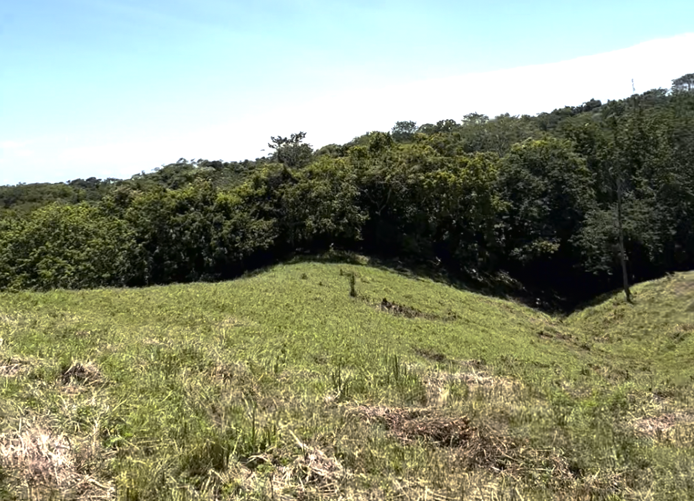 0 bed Land For Sale in Montezuma, Puntarenas - thumb 5
