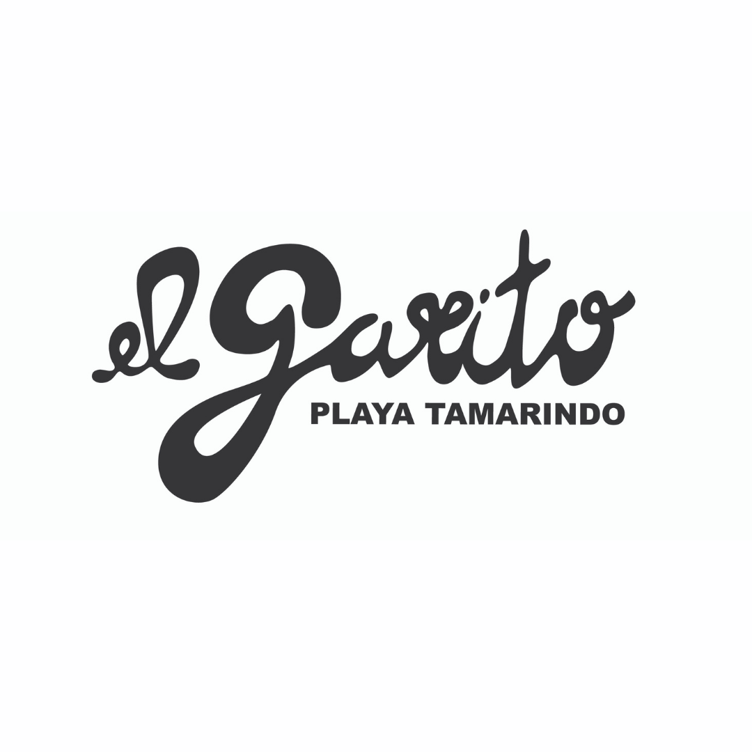 0 bed Commercial For Sale in Tamarindo, Guanacaste - thumb 2