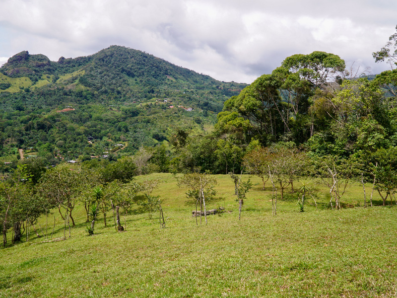 1 bed Land For Sale in Perez Zeledon, Puntarenas - 1