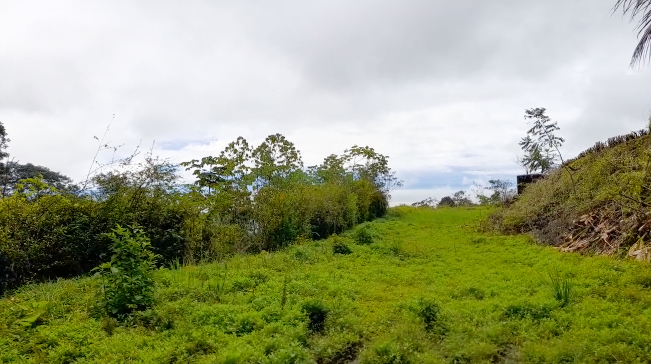 0 bed Land For Sale in Ojochal, Puntarenas - thumb 3