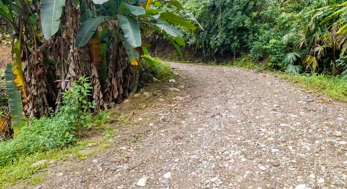 0 bed Land For Sale in Ojochal, Puntarenas - thumb 5