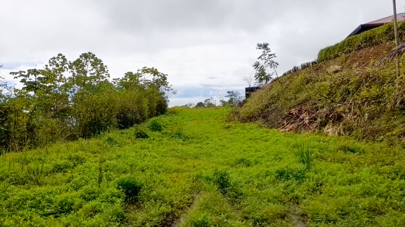 0 bed Land For Sale in Ojochal, Puntarenas - thumb 2