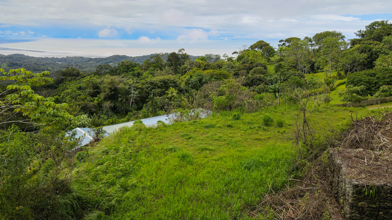 0 bed Land For Sale in Ojochal, Puntarenas - thumb 4