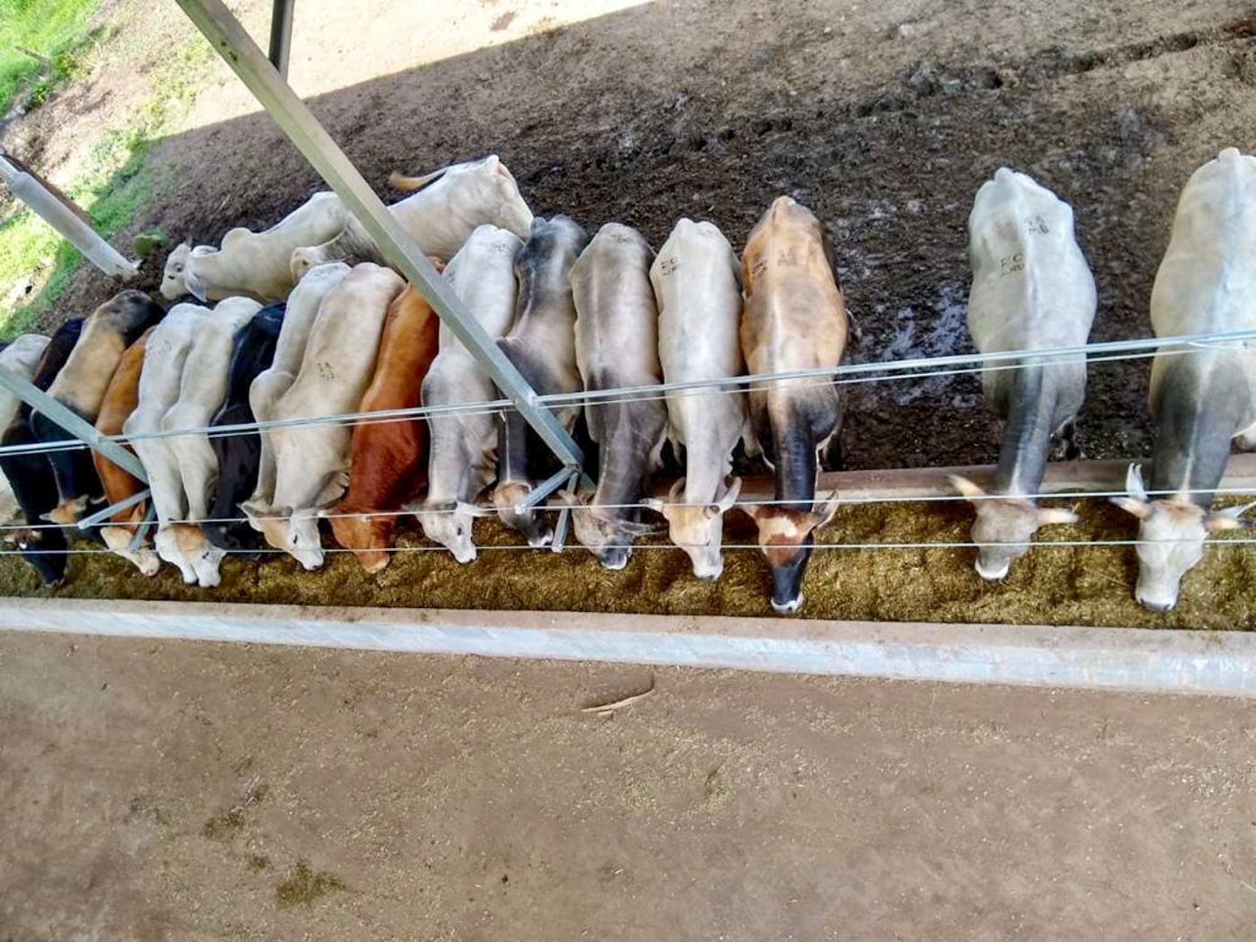 1 bed Land For Sale in Perez Zeledon, Puntarenas - thumb 17