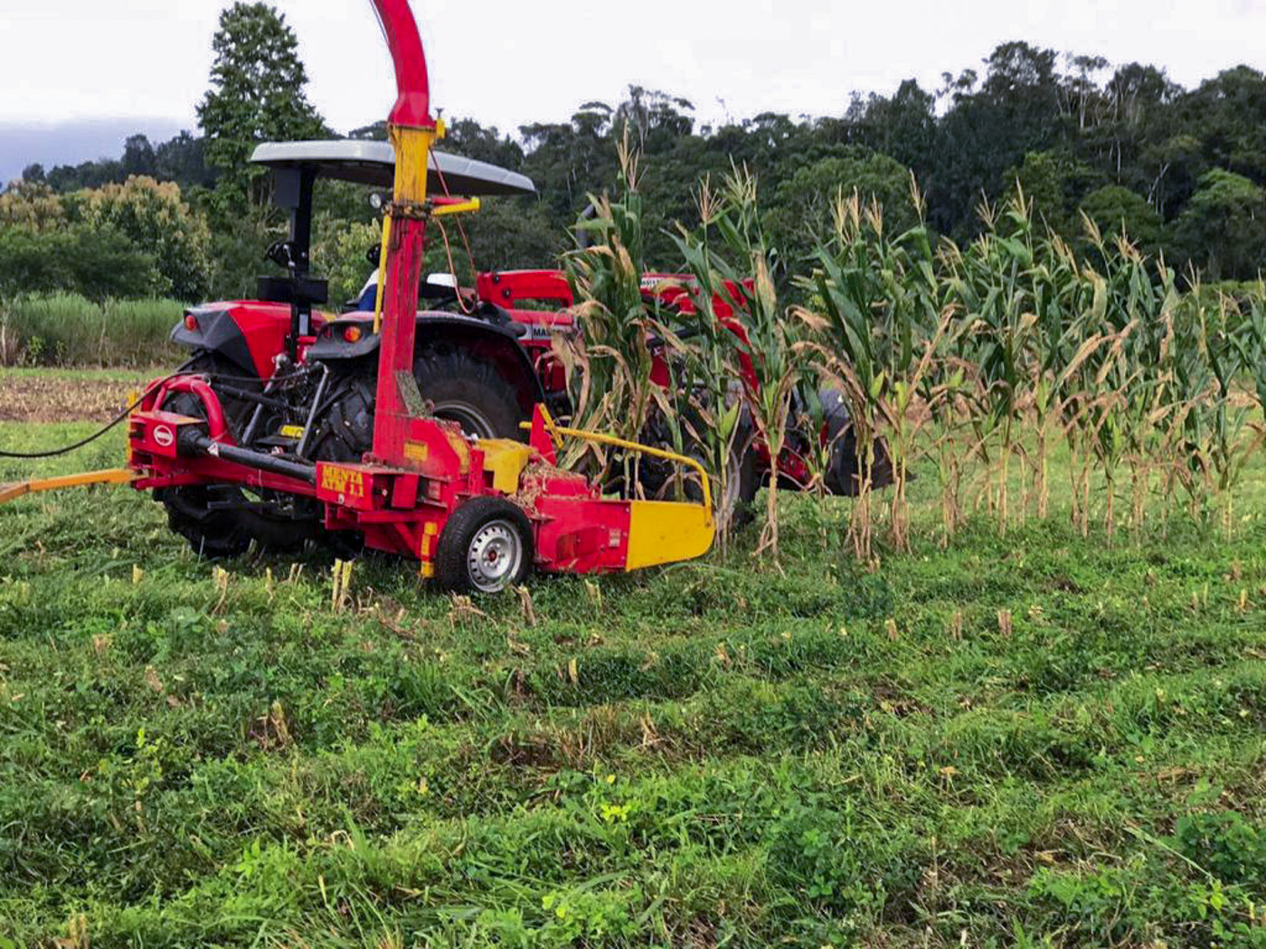 1 bed Land For Sale in Perez Zeledon, Puntarenas - thumb 2