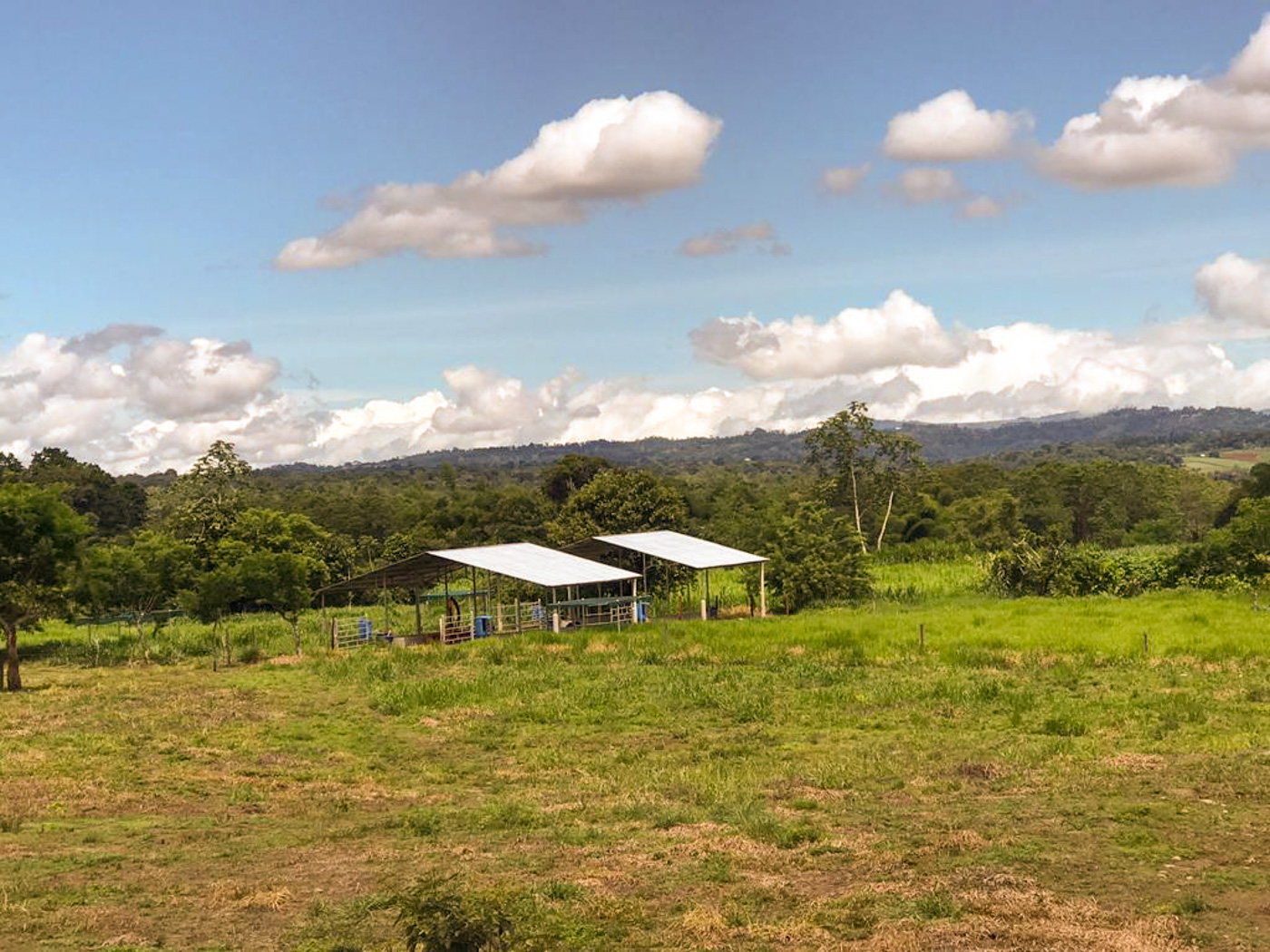 1 bed Land For Sale in Perez Zeledon, Puntarenas - thumb 21