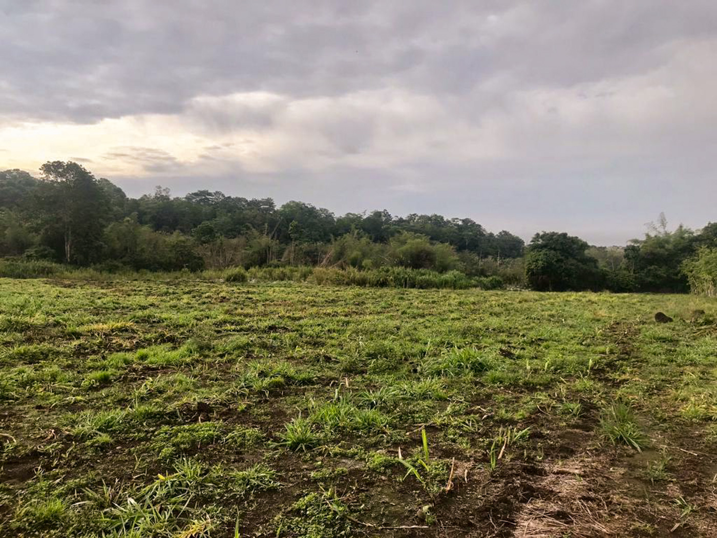 1 bed Land For Sale in Perez Zeledon, Puntarenas - thumb 15