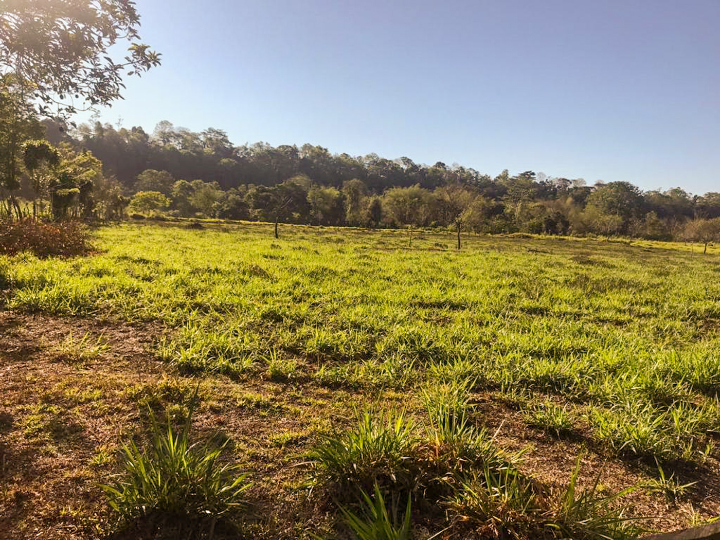 1 bed Land For Sale in Perez Zeledon, Puntarenas - thumb 11