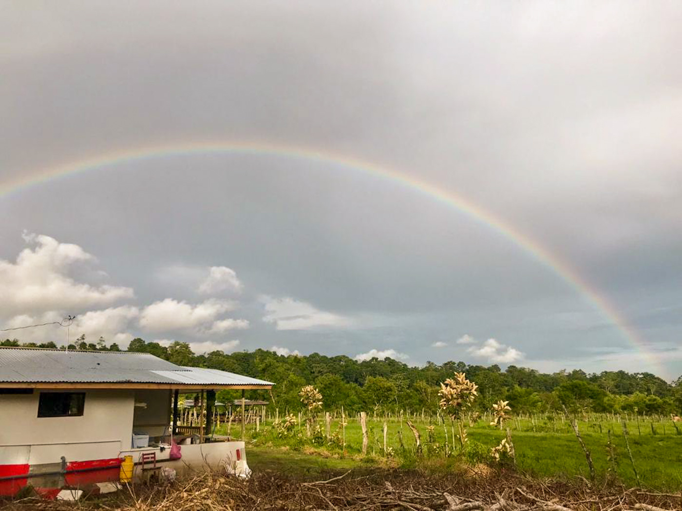 1 bed Land For Sale in Perez Zeledon, Puntarenas - thumb 5