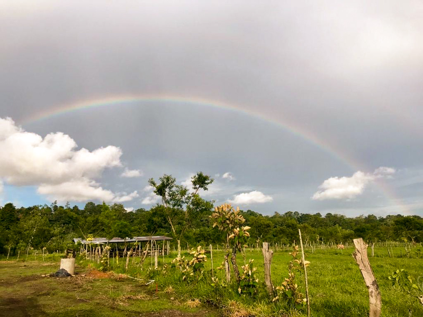 1 bed Land For Sale in Perez Zeledon, Puntarenas - thumb 9