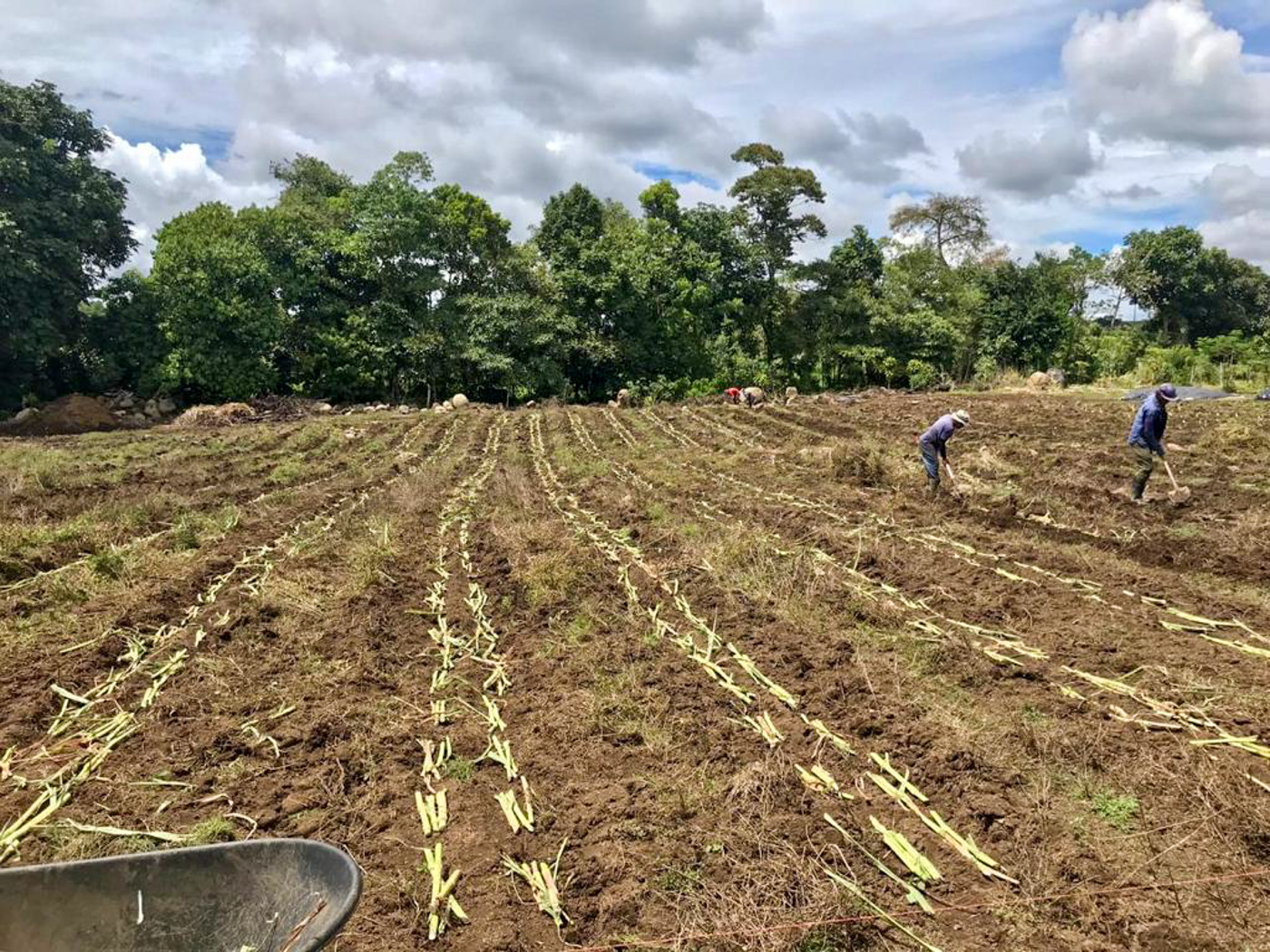 1 bed Land For Sale in Perez Zeledon, Puntarenas - thumb 12