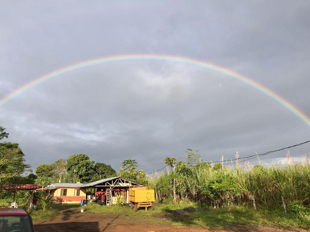 1 bed Land For Sale in Perez Zeledon, Puntarenas - thumb 3