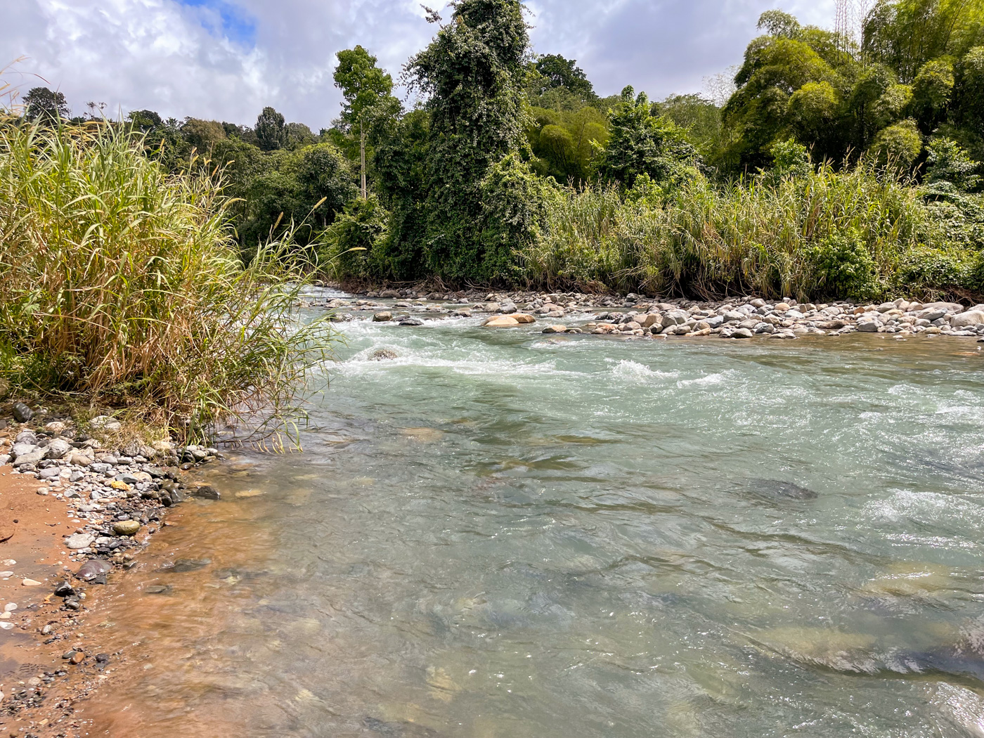 1 bed Land For Sale in Perez Zeledon, Puntarenas - thumb 6