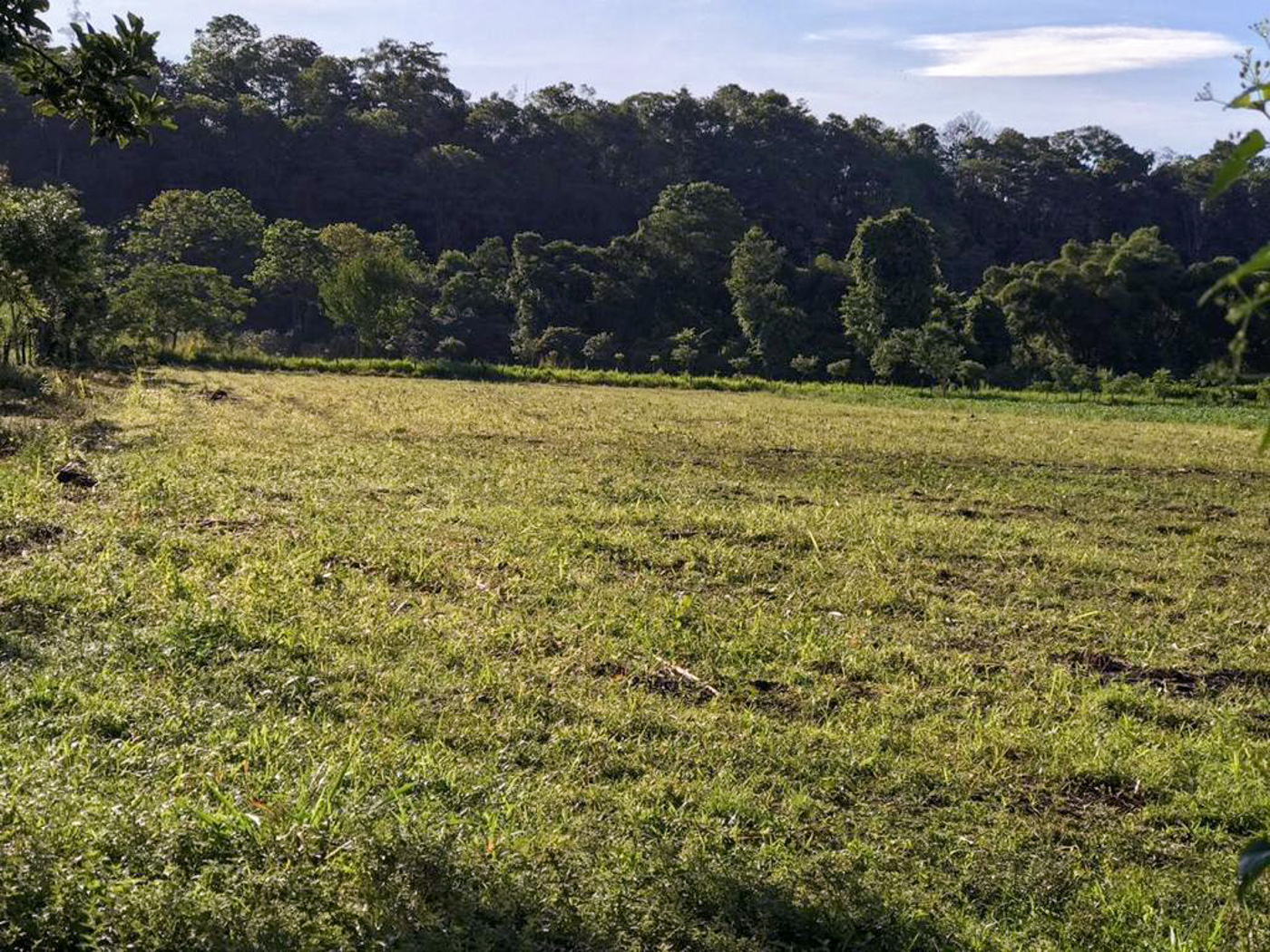 1 bed Land For Sale in Perez Zeledon, Puntarenas - thumb 18
